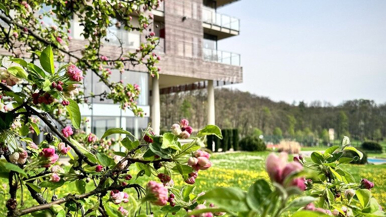 Balíček vhodný pro všechny sportovní nadšence s tenisem nebo squashem na hodinu.